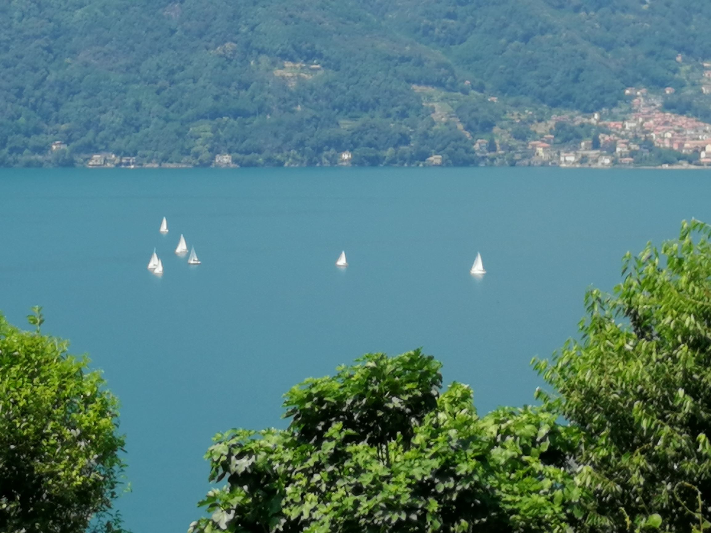 Foto15